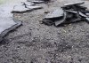 DSC00005.JPG
