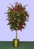 sample2# plant+pot.jpg