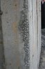 IMG_1891.jpg