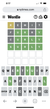 7E15D24F-041C-4615-8724-4997421CFB5C.png