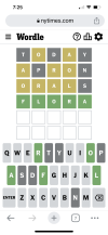 606B752E-D578-41FA-BE24-A5B8553F8524.png