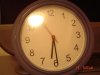 DSC05556.jpg