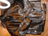 DSC02549.jpg