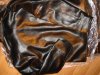 DSC02551.jpg