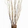 curly willow stems.jpg