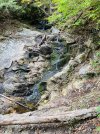 IMG_1460.jpeg