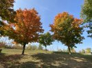IMG_1547.jpeg