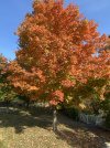 IMG_1538.jpeg
