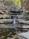 IMG_1509.jpeg