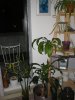 DSCN3463.jpg