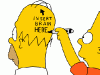 homer_braininsert.gif