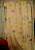 DSC06258.jpg