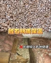 Image_20250316145453.webp