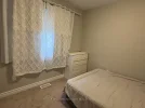 1746887480545.webp