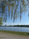 image.webp
