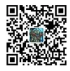 1747162363631.webp