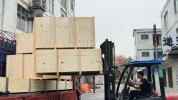 03.webp