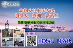 宠物家具海运专线加拿大，澳洲，新西兰.webp