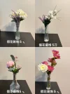图像.webp