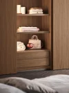Armadio laccato con ante scorrevolicomplanaribattenti ICONA by PIANCA_ (2).webp
