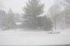 DSC_0001.jpg