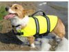 life vest 2.jpg