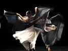 Image_20250627161043.webp