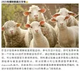 1751567881946.webp