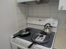 PXL_20250498.webp