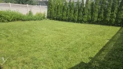 1000016355.webp