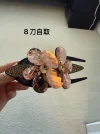 微信图片_20250723025852.webp
