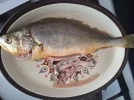 20250728_122612.webp