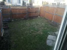 backyardSummer.webp