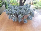 20250805_110347.webp