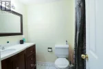 x12336452_17.webp