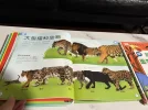 微信图片_2025-08-12_214548_491.webp