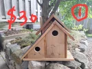 20250820_180103.webp