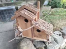 20250820_180230.webp