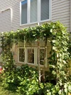 IMG_20250826_074534.webp