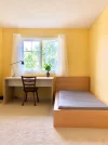 image_matt2.webp