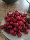 Weixin Image_20250831123214_16.webp
