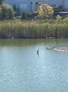 IMG_0733.webp