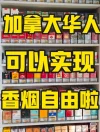 watermark.webp