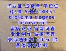 1 (25).webp