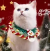 cat_dec.webp