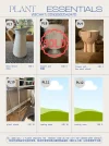 plant 2.webp