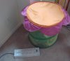 DSC04340.JPG
