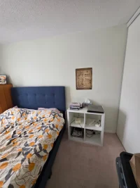 IMG_20260130_220626 (2).webp