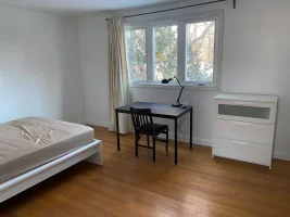 Photo Feb 17, 4 39 02 PM.webp