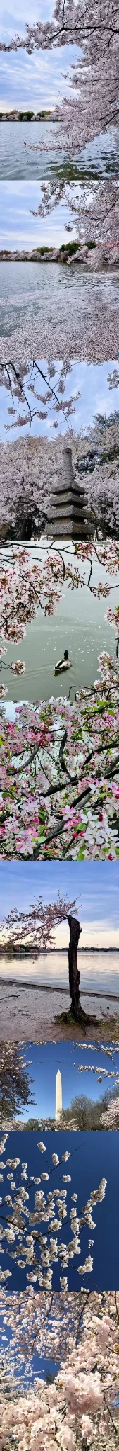 WeChat Image_20260319120614.webp